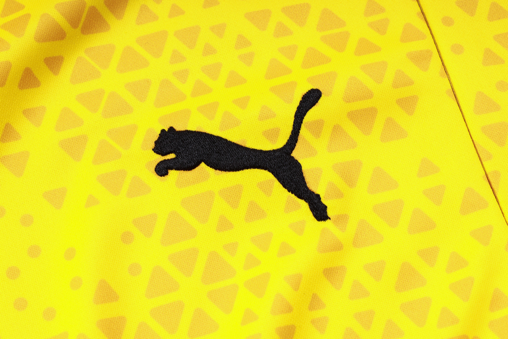 Chandales Borussia Dortmund