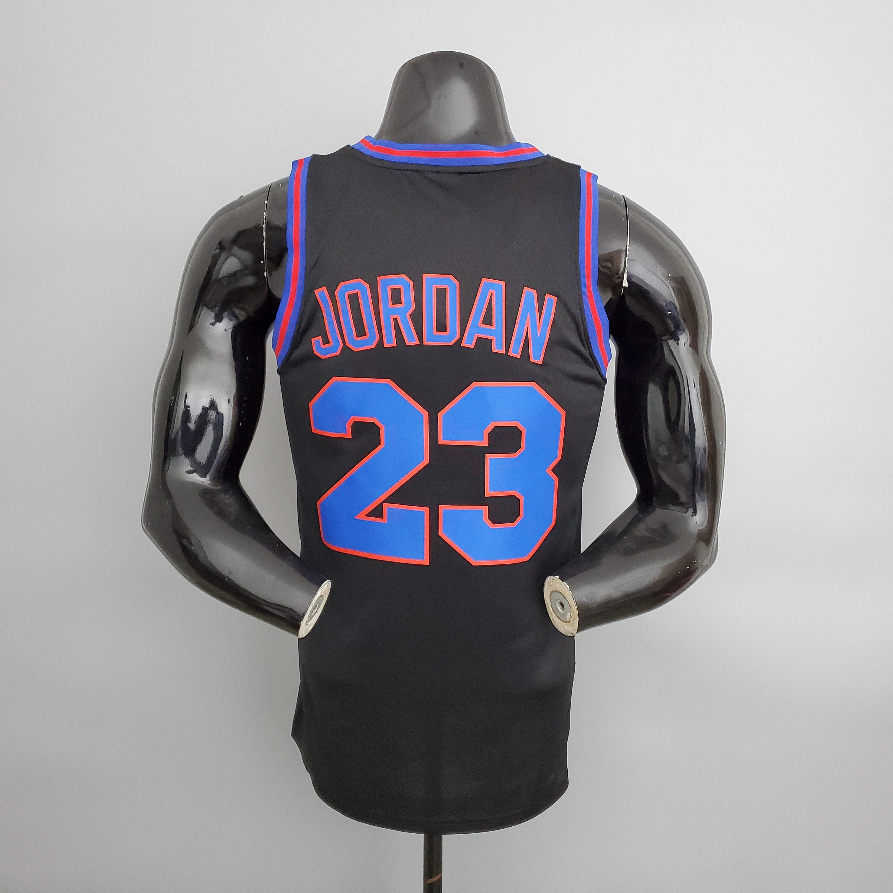 Space Jam 23 Jordan Retro