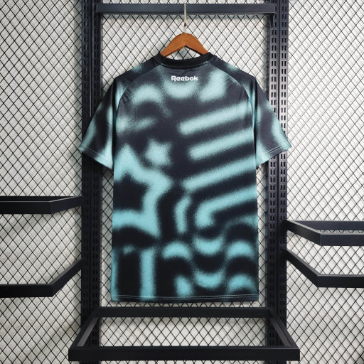 Botafogo 2023/24 (edicion entrenamiento)