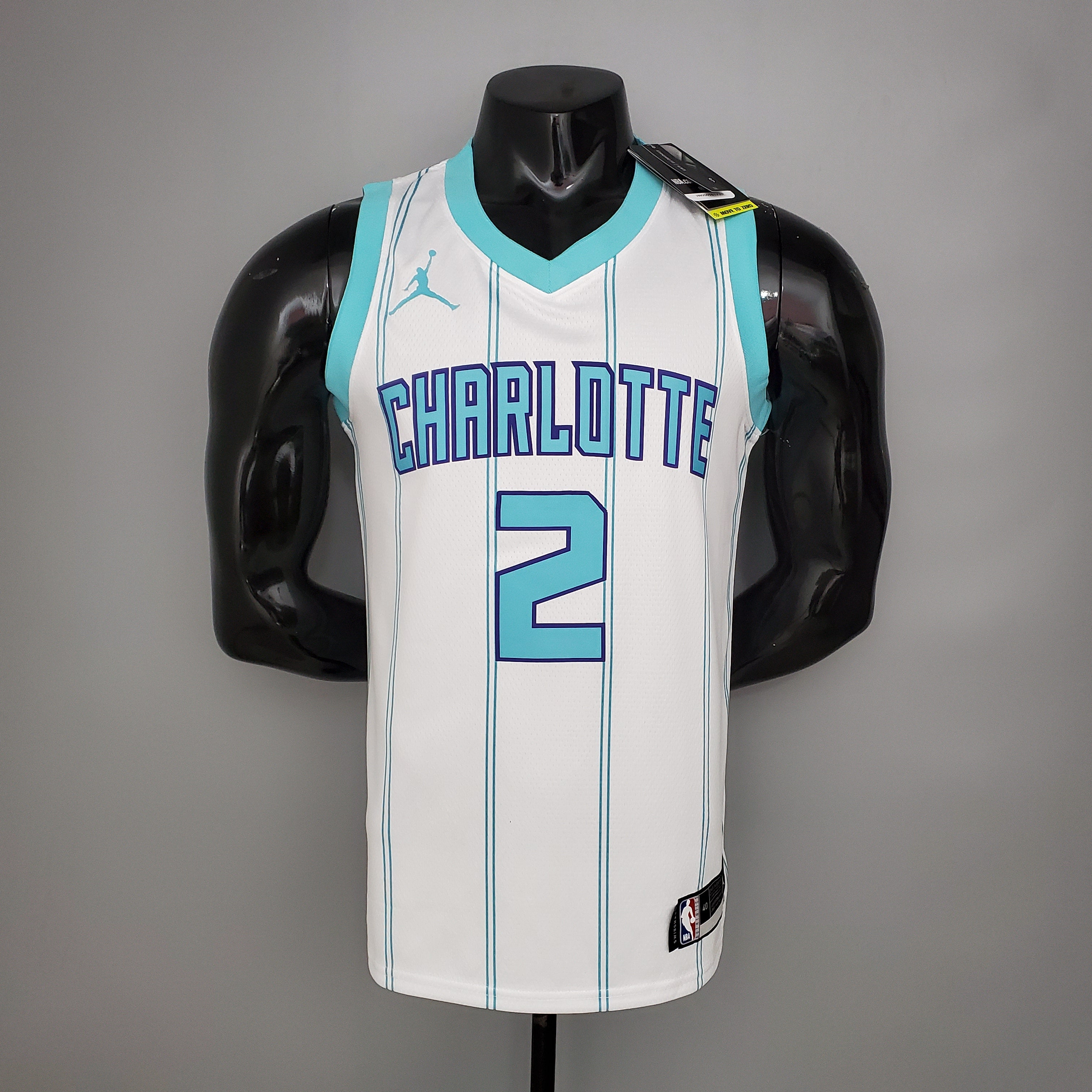 Charlotte Hornets (white edition)