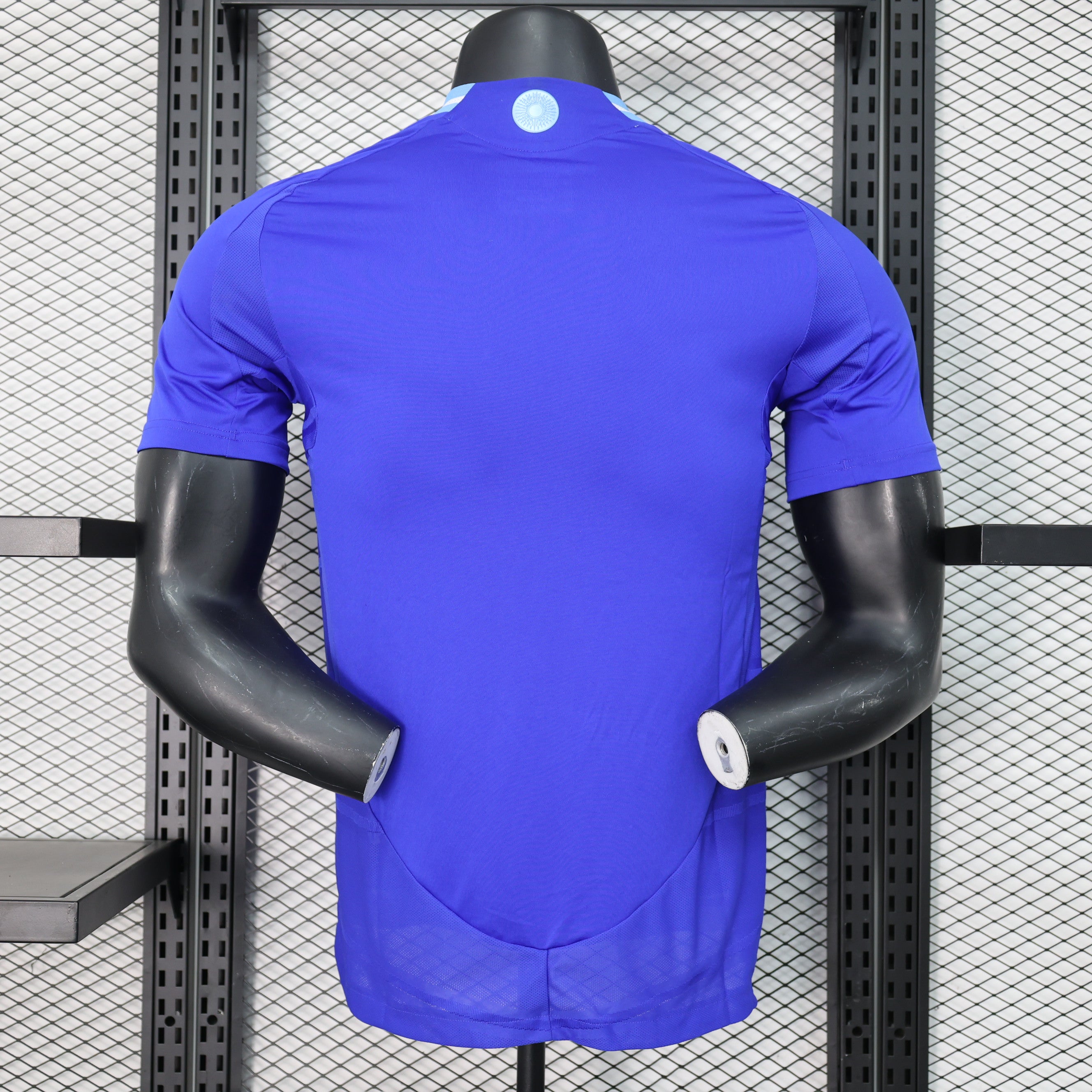 Argentina 2024/25 Vapor Match (Segunda Equipación)