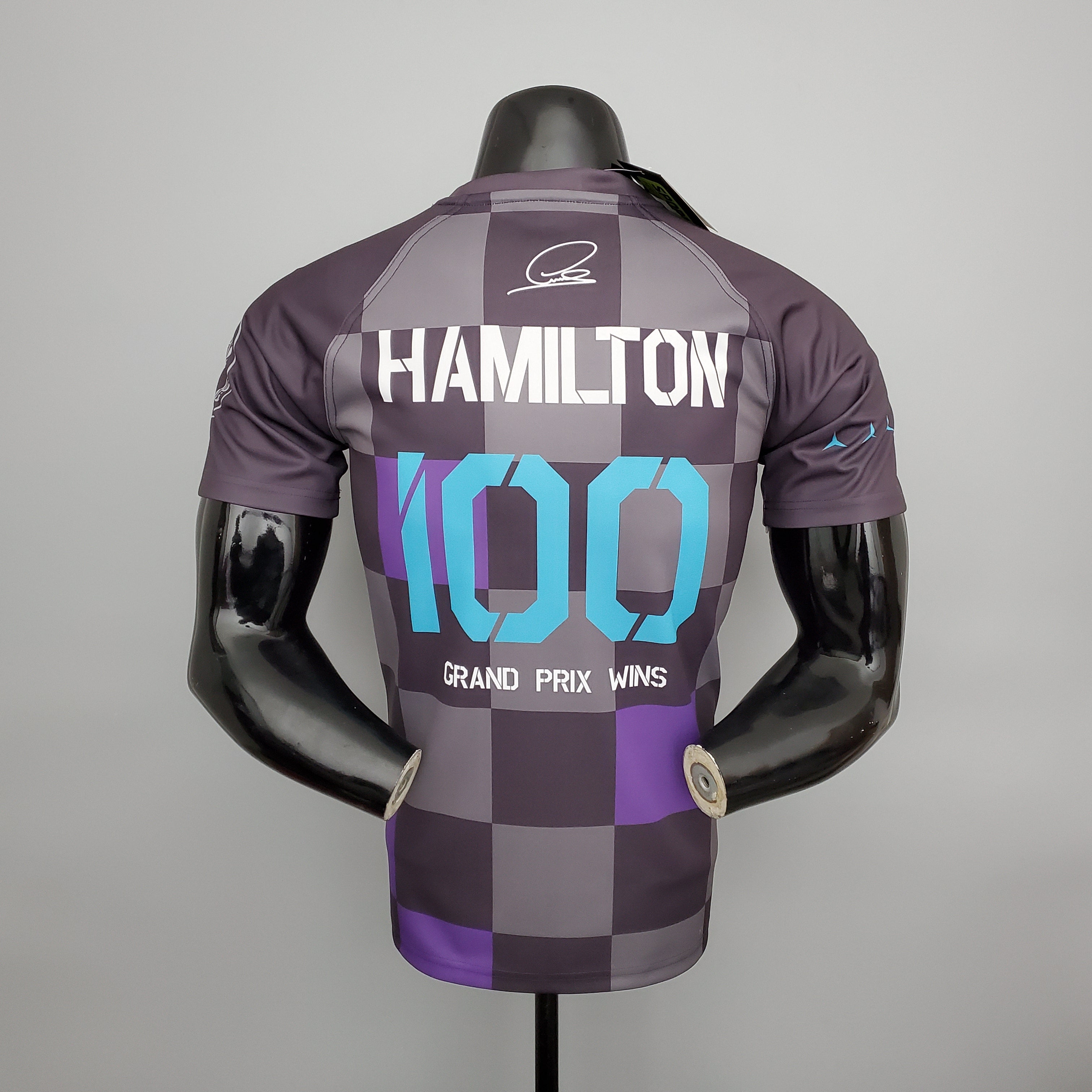 F1 Mercedes (Special Hamilton Edition)