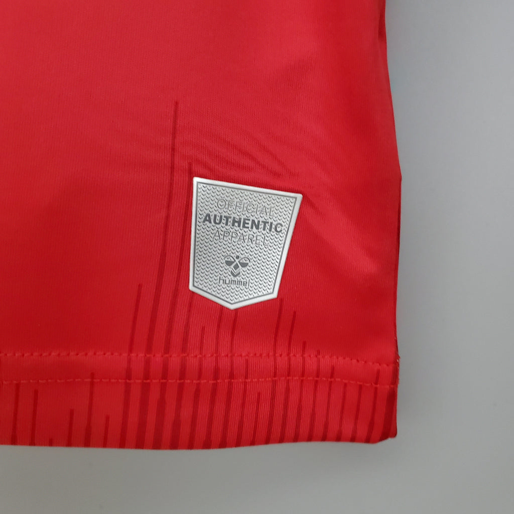 Dinamarca 2021 (Primera equipación)