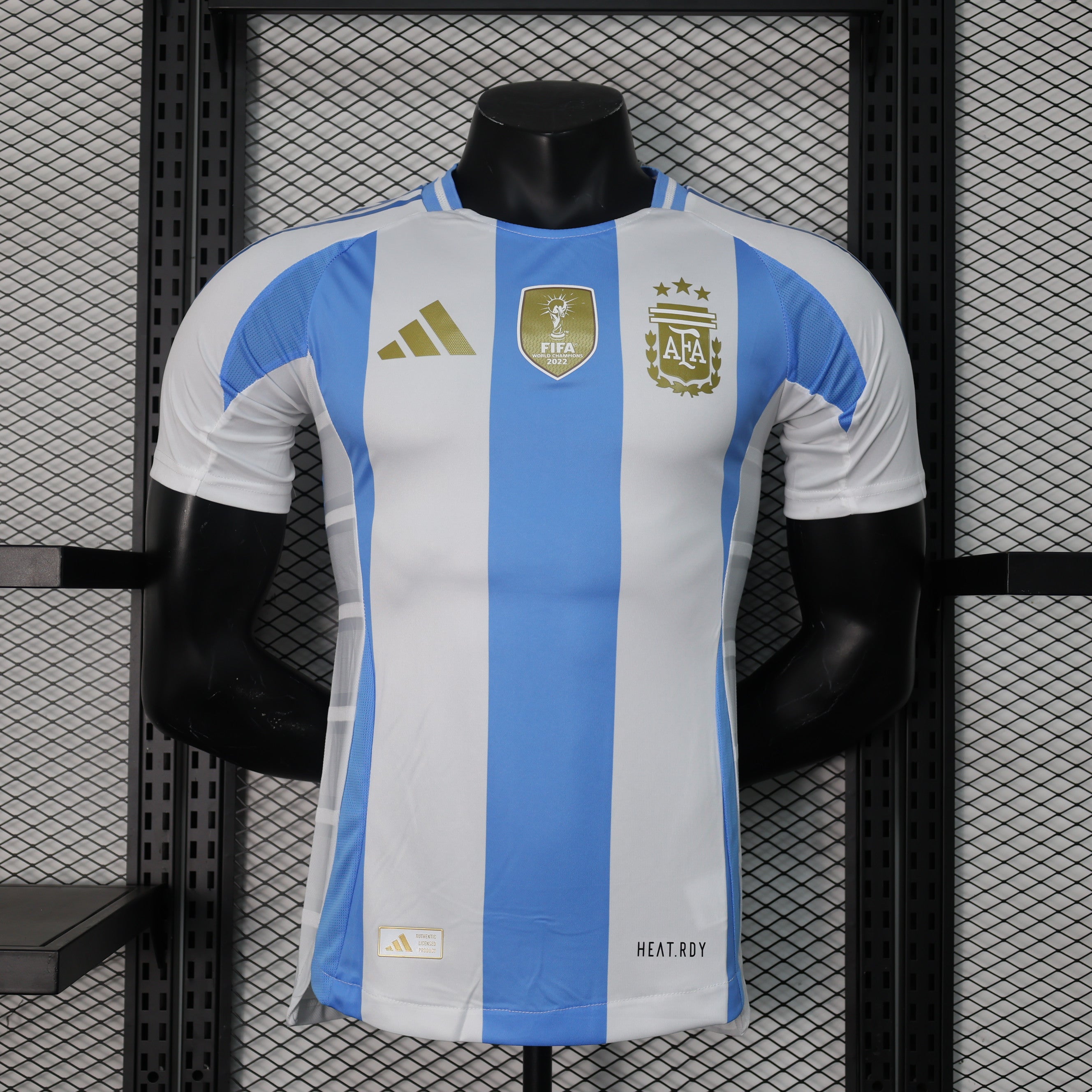 Argentina 2024/25 Vapor Match (Primera Equipación)