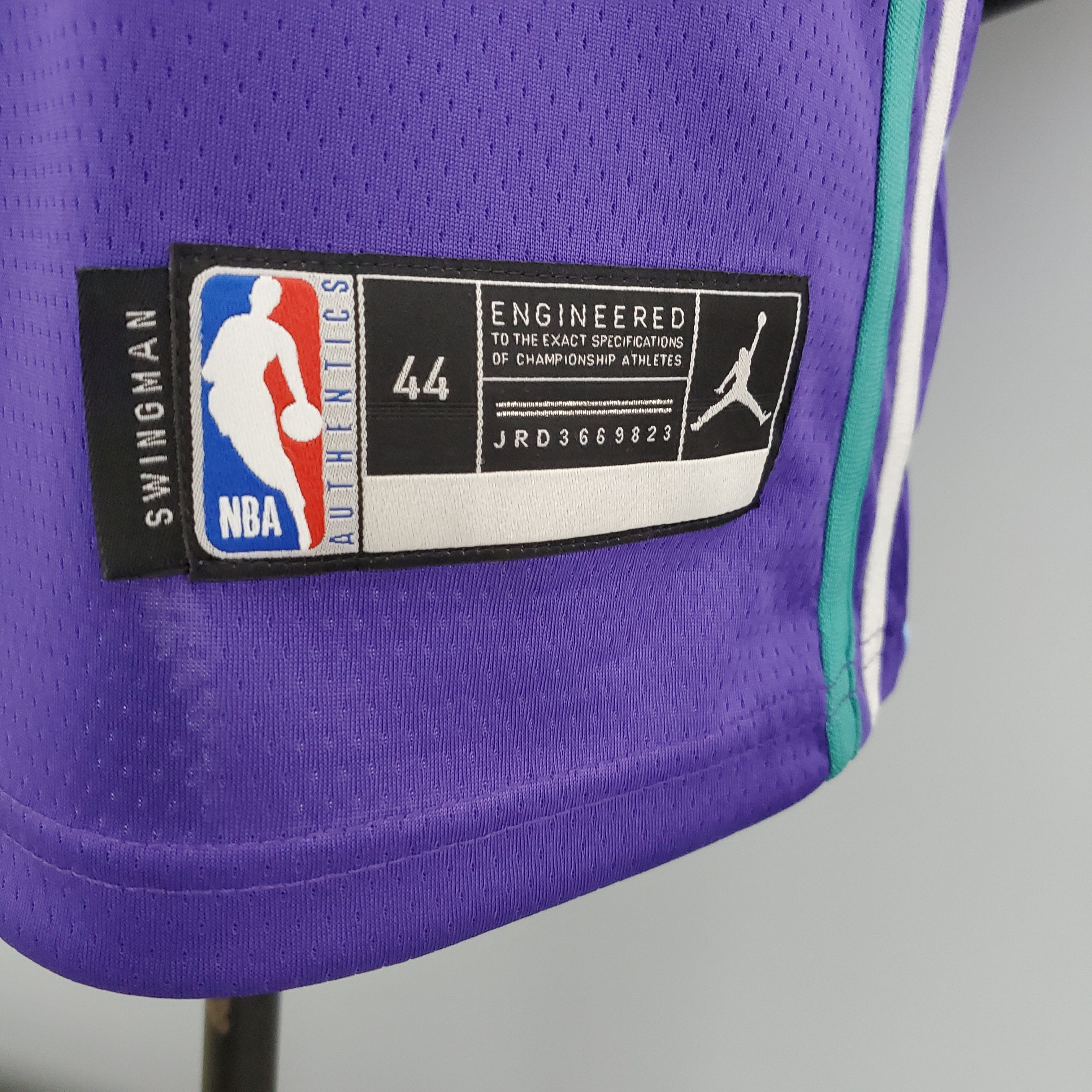 Charlotte Hornets (purple)