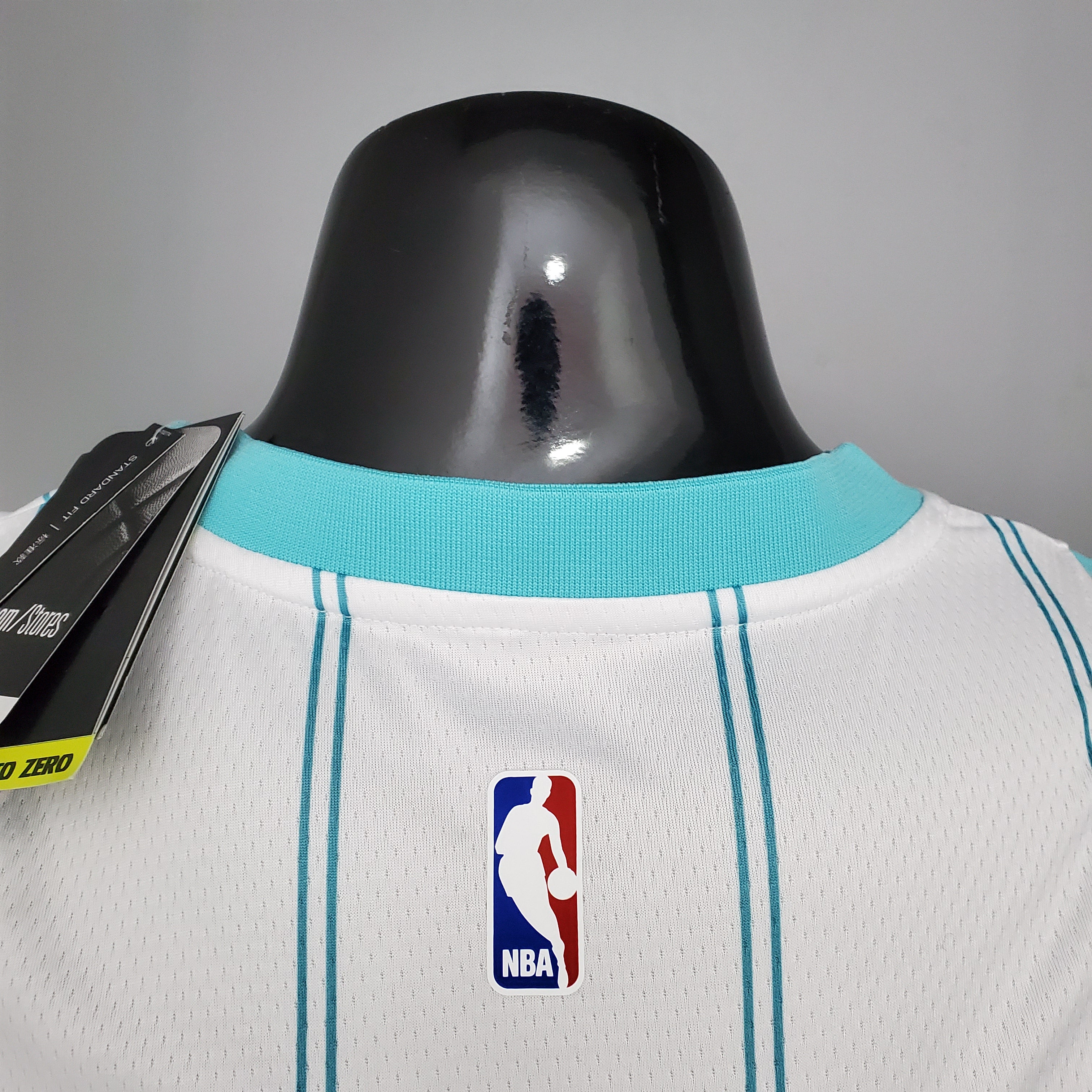 Charlotte Hornets (white edition)