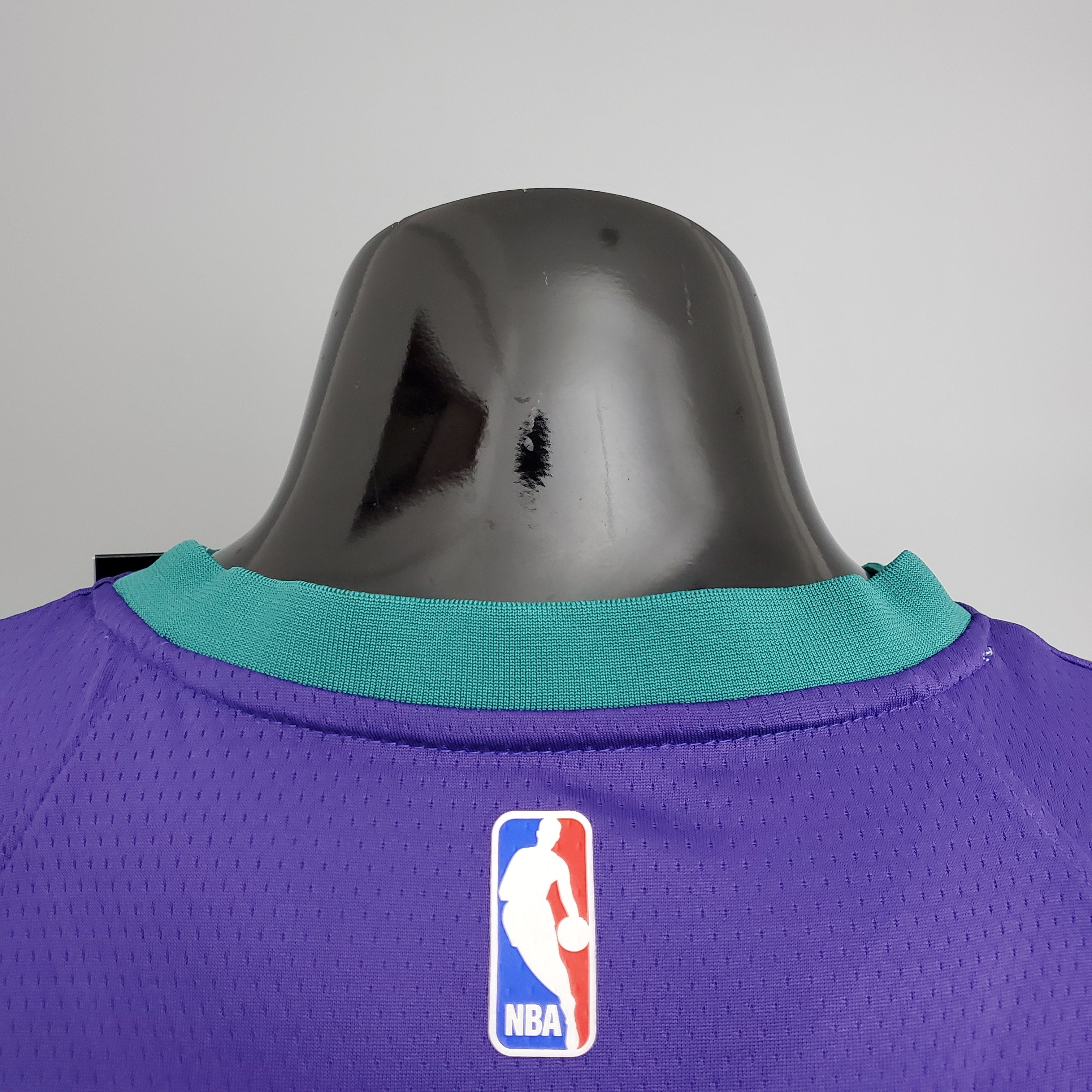 Charlotte Hornets (purple)