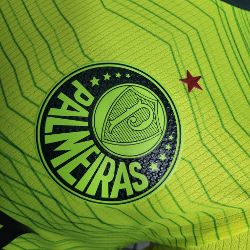 Palmeiras 2023/24 (segunda equipacion)