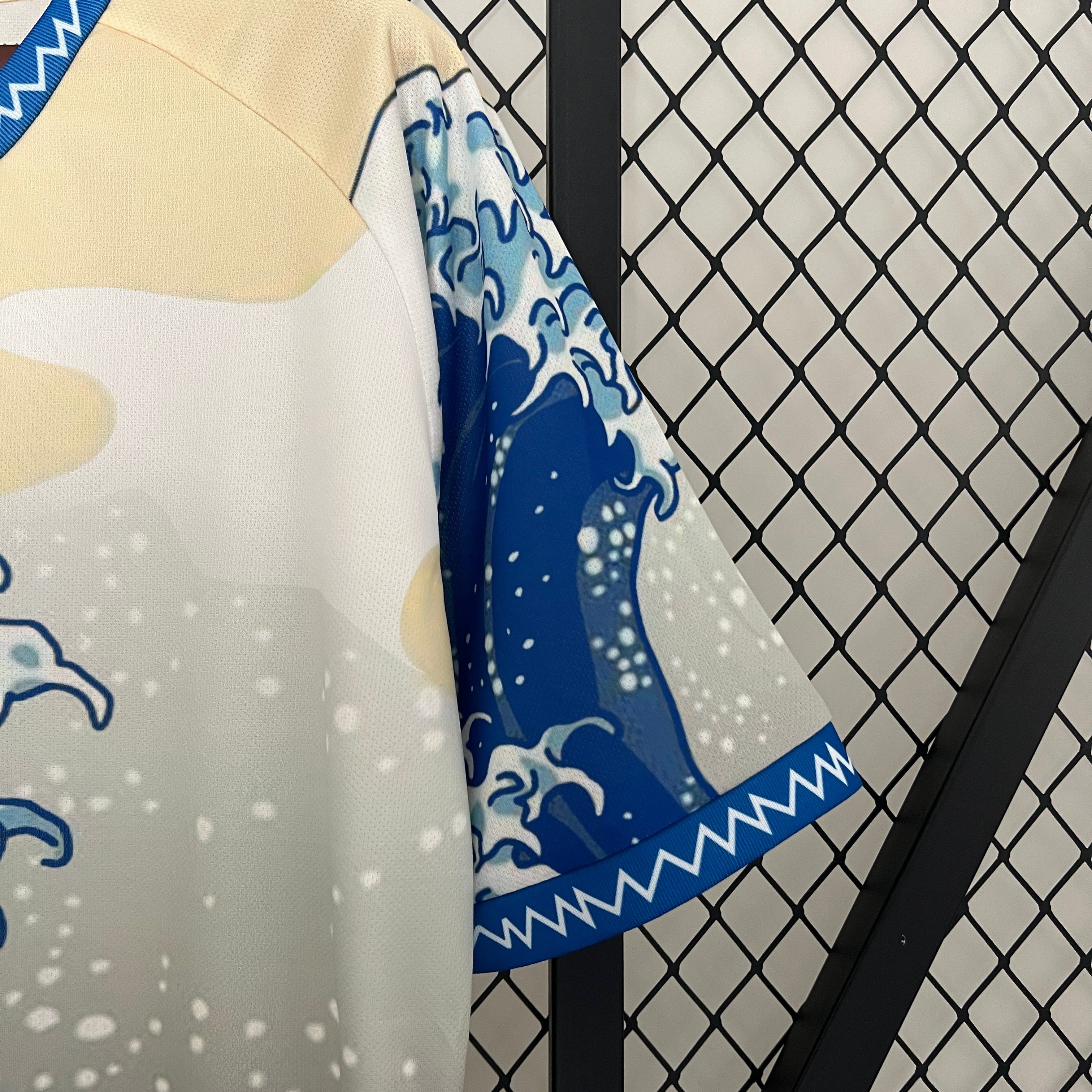 Japón 2024 Special Edition