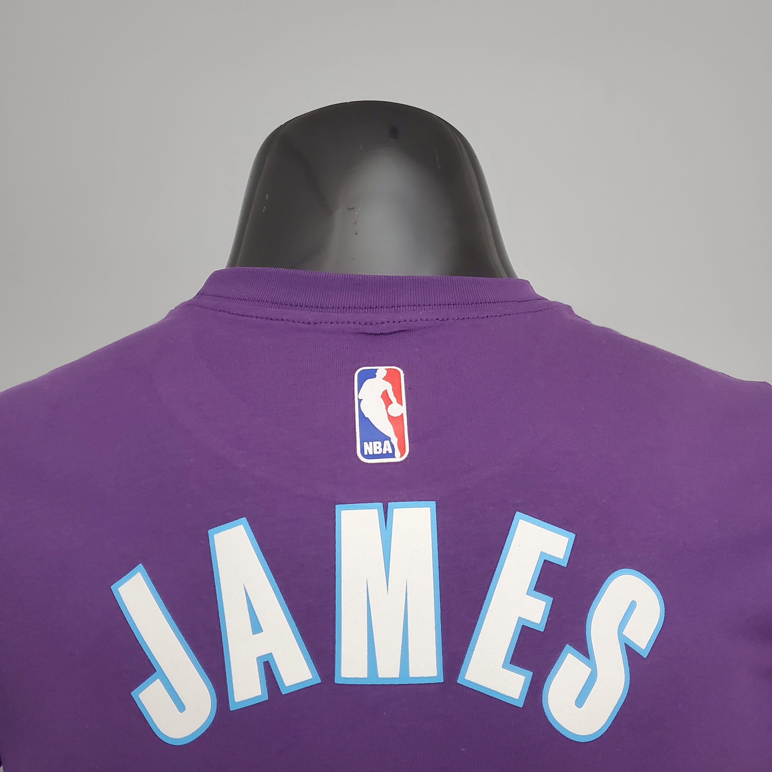 Camiseta Mangas Cortas Lebron Violeta