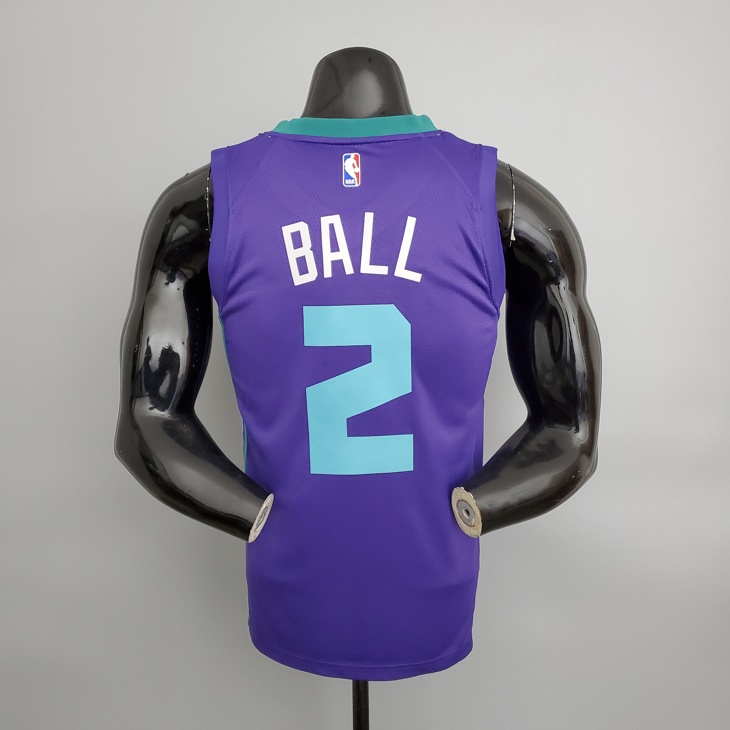 Charlotte Hornets (purple)