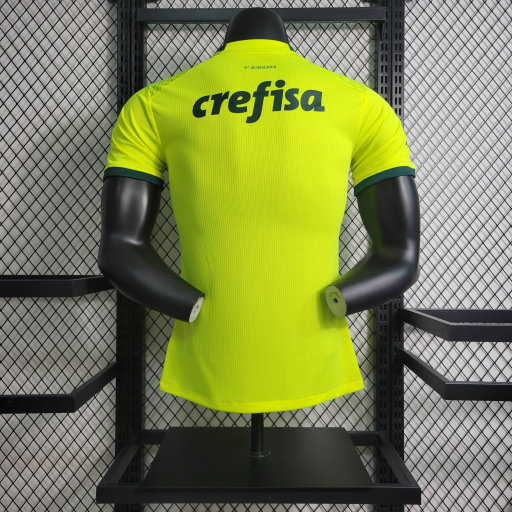 Palmeiras 2023/24 (segunda equipacion)