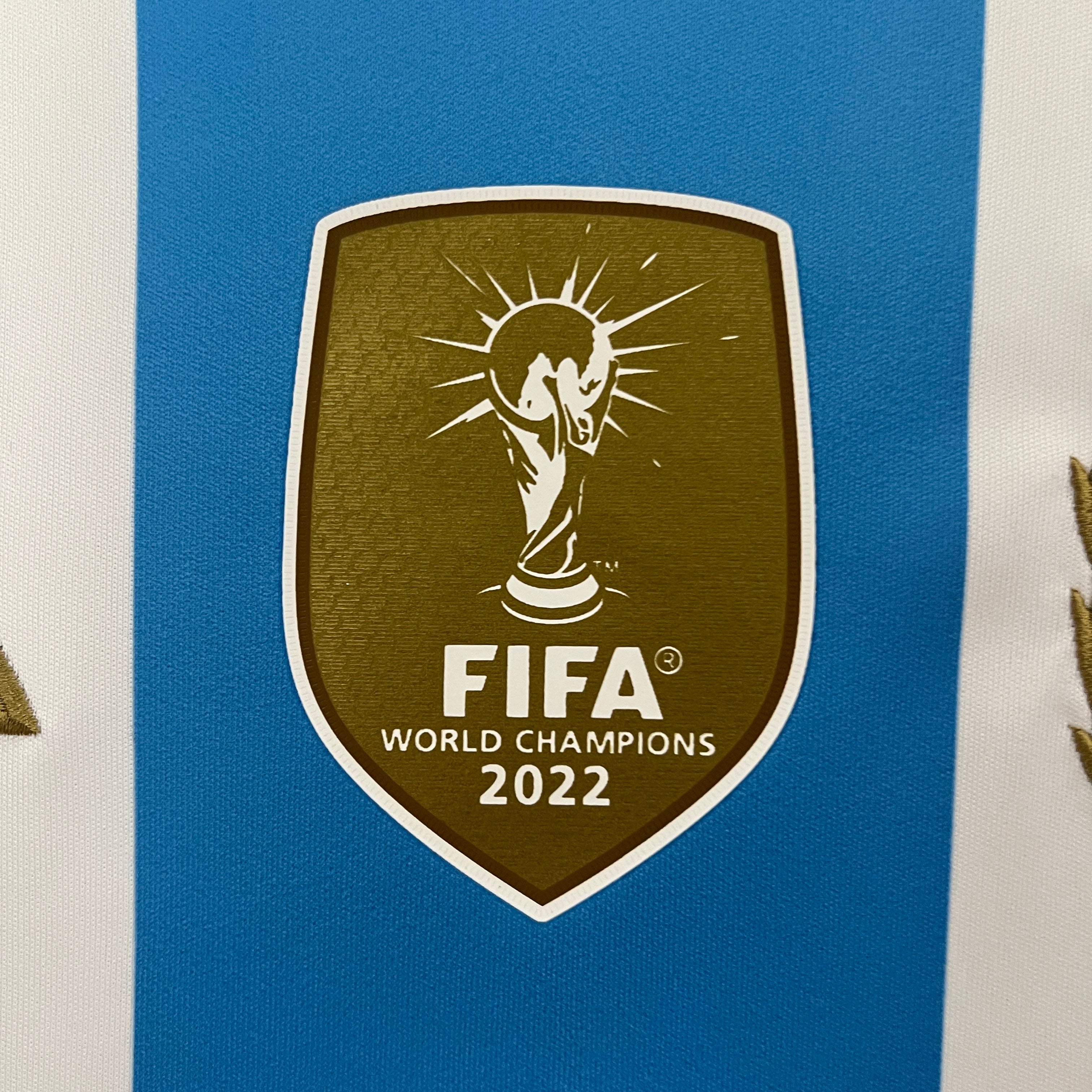 Argentina 2024/25 (Primera equipación)