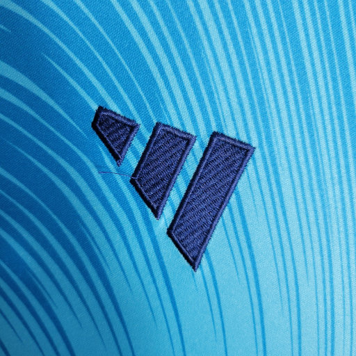 Cruzeiro 2023/24 (segunda equipacion)