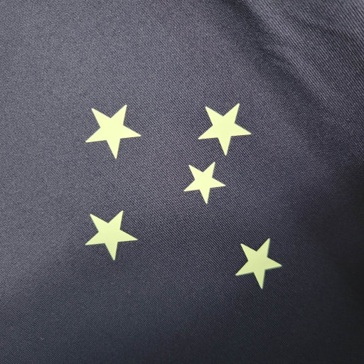 Cruzeiro 2023/24 (edicion entrenamiento)