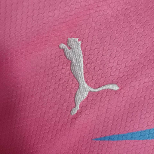 Palmeiras 2023/24 (edicion conmemorativa)