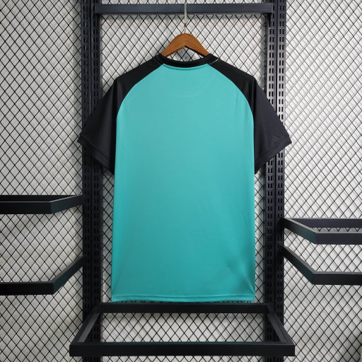 Botafogo 2023/24 (edicion entrenamiento)