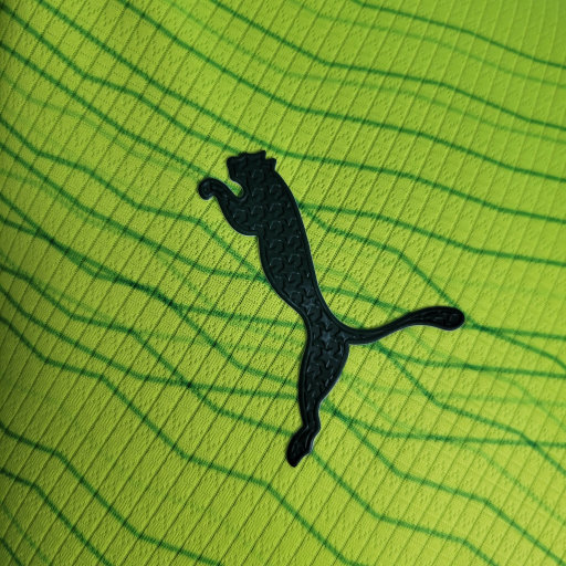 Palmeiras 2023/24 (segunda equipacion)