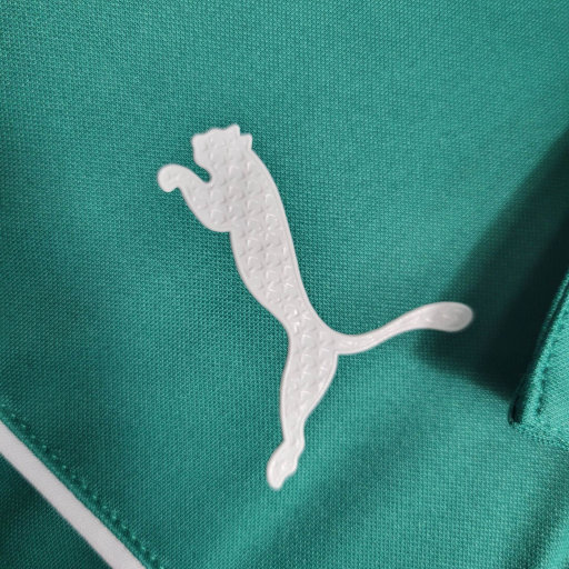 Palmeiras 2023/24 (edicion verde)